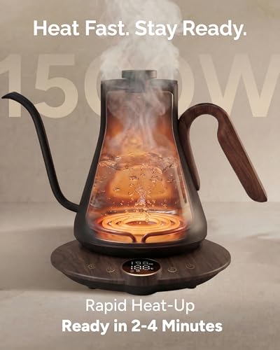 Gooseneck Electric Kettle