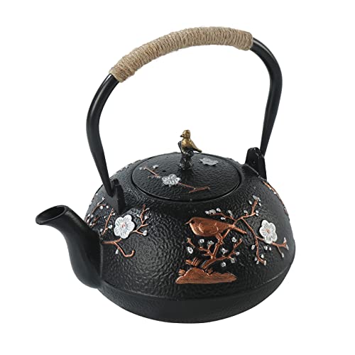 Cast Iron Teapot SECHUDO Teapot for Stovetop Safe Coated with Enameled Interior