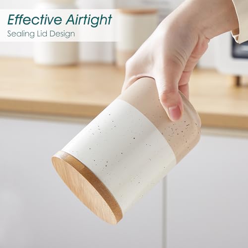 Sabine Ceramic Canister Set with Airtight Wood Lids (4 Count)