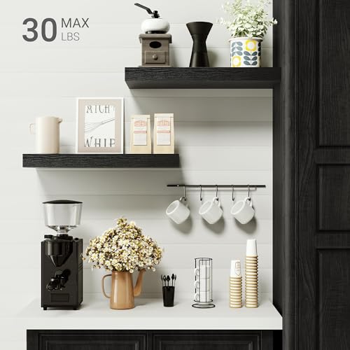 Black Bathroom Shelves Over Toilet (2 Count)