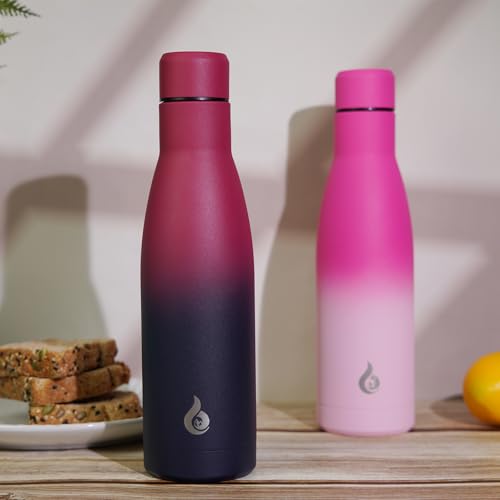 25 oz Insulated Stainless Steel Water Bottle