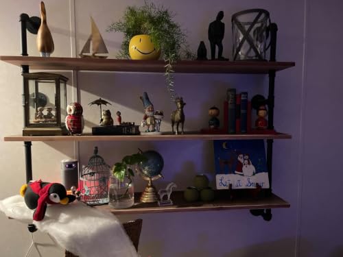 Industrial Pipe Floating Shelves
