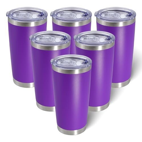 20oz Tumbler with Lid Stainless Steel Tumblers Insulated Mug Purple 6P (6 Count)