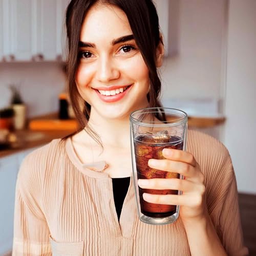Alaska - 24-Ounce Insulated Plastic Tumblers (Set of 4), Double-Wall Plastic Drinking Glasses, All-Clear Reusable Cups, BPA-Free, Shatter-Proof, Dishwasher-Safe (4 Count)
