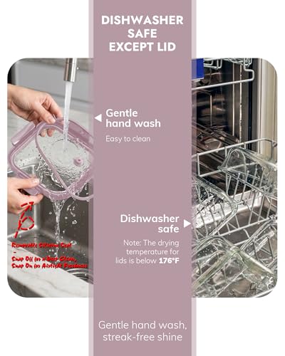 10 Pack Glass Food Storage Containers with Tempered Glass Lids (10 Count)
