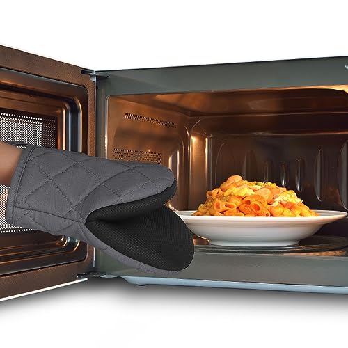 Mini Oven Mitts 2 (2 Count)