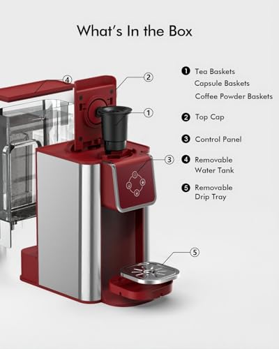 Cold Press Juicer