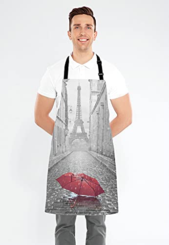Paris France Apron