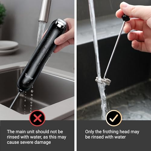 InstaWhisk Milk Frother with Variable Speed