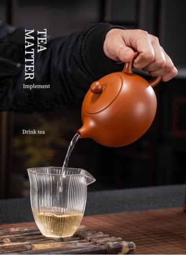 Chinese Gongfu Tea Xishi Teapot
