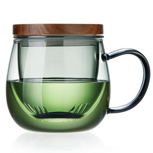 17 OZ Glass Tea Cup with Infuser and Lid (17 Fl Oz)