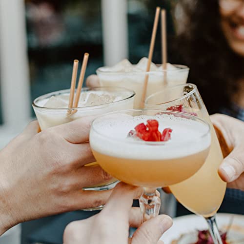 5 Inch 600pcs Cocktail Straws Made from Sugarcane Fiber Plastic (600 Count)