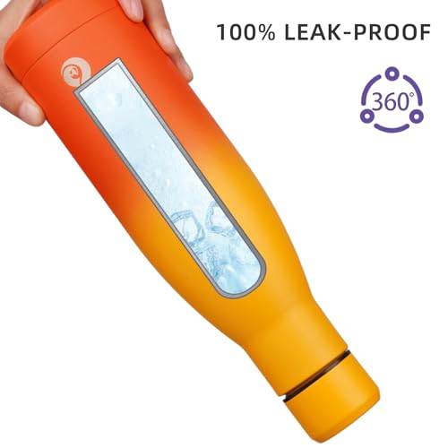 25 oz Insulated Stainless Steel Water Bottle
