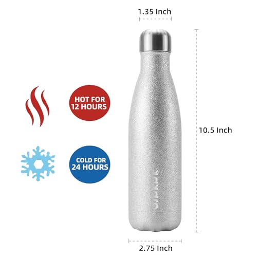 17 oz Small Insulated Water Bottle