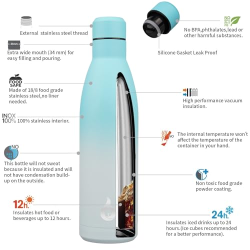 25 oz Insulated Stainless Steel Water Bottle