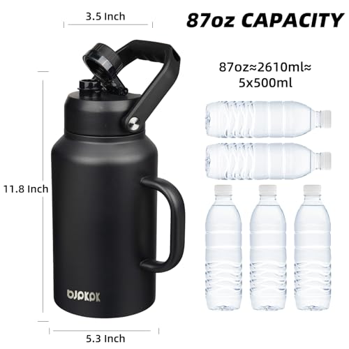 87oz Stainless Steel Water Bottle