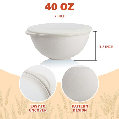 Plastic Bowls with Lids Set of 4