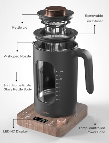 Electric Tea Kettle with Infuser
