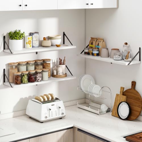 Floating Book Shelves for Wall (3 Count)