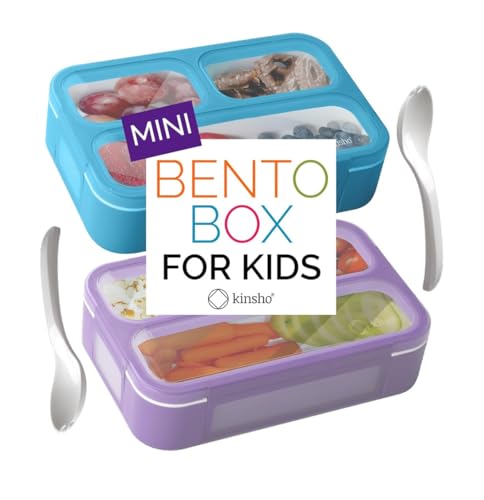 Small Snack Box Container for Kids Toddlers Set of 2 (2 Count)