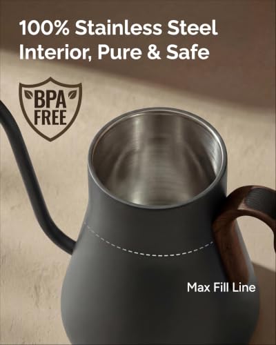 Gooseneck Electric Kettle with Precise ±1℉ Temperature Control