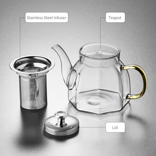 Glass Tea Pot with Stainless Steel Infuser and Lid