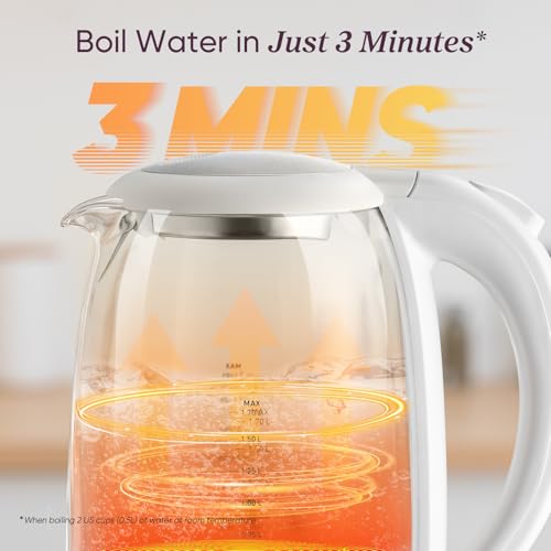 Electric Kettle