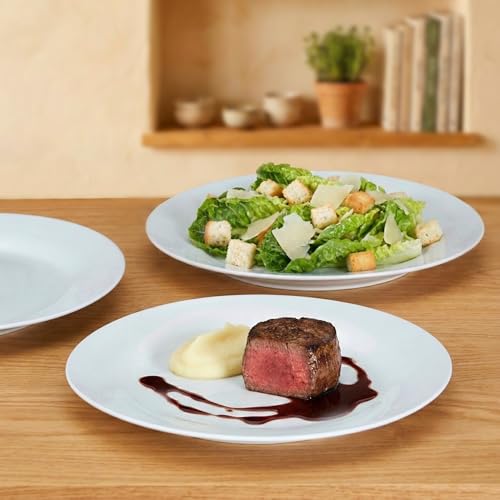 10.5" Round Dinner Plates Set of 4 (4 Count)