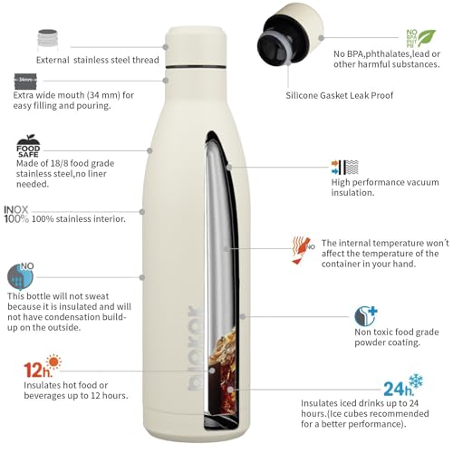 25 oz Insulated Stainless Steel Water Bottle