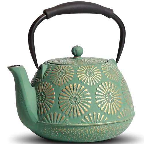 Cast Iron Teapot