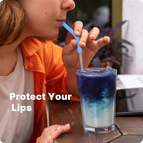 6Pcs Silicone Straw Tips for Metal Straw and Other 0.31 Inch Straws (6 Count)