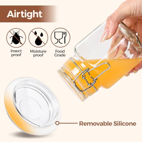 Square Glass Spice Jars 8 oz 6 Pack with Labels and Funnel Set (6 Count)