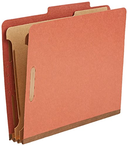 Classification Folder with Prongs (10 Count)