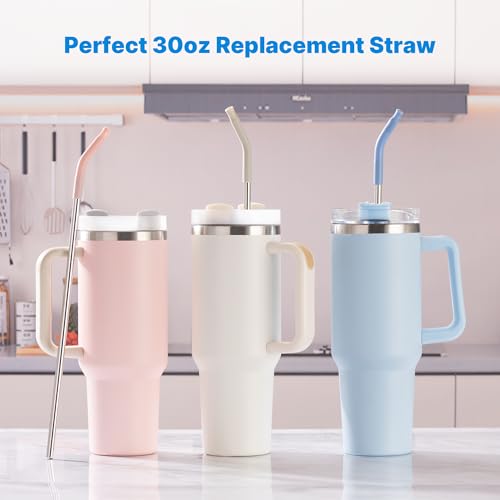 Repeatable Metal Straw with Silicone Tips for 30 oz Stanley Tumbler