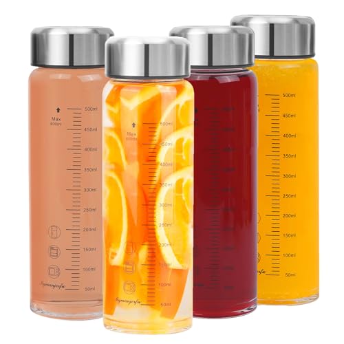 Glass Juice Bottles 4 Pack 20 oz (4 Count)