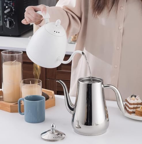 Stainless Steel Teapot with Infuser Silver 58Oz