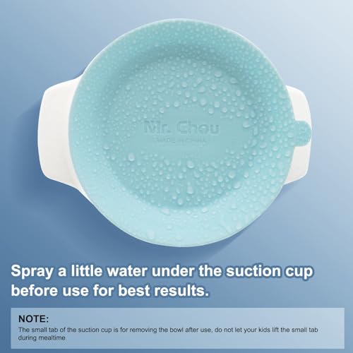 Ceramic Baby Bowls with Suction Base