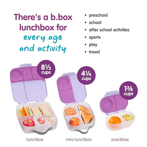 Snack Box Snack Containers for Kids