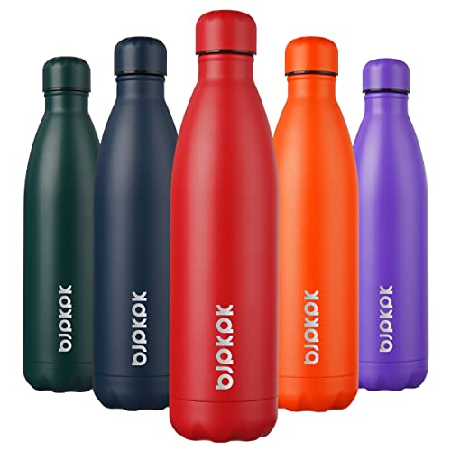 25 oz Insulated Water Bottle
