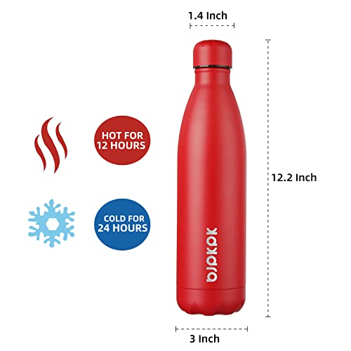 25 oz Insulated Water Bottle