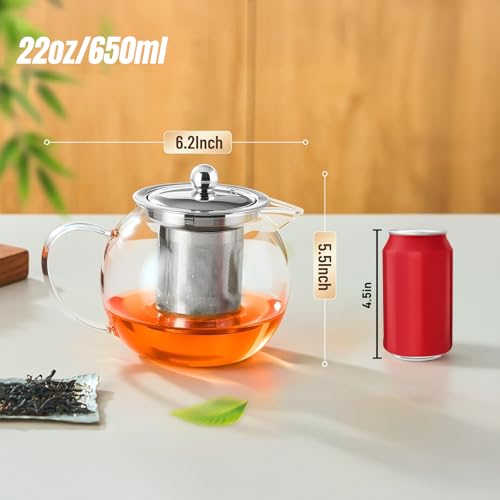 Glass Teapot with Infuser (22 Fl Oz)