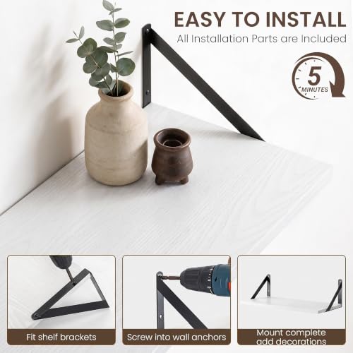 Wall Mounted Floating Shelves Set of 3