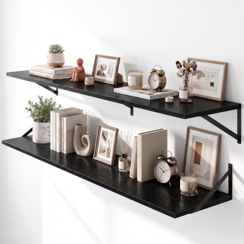 Wall Mounted Floating Shelves Set of 2 (2 Count)