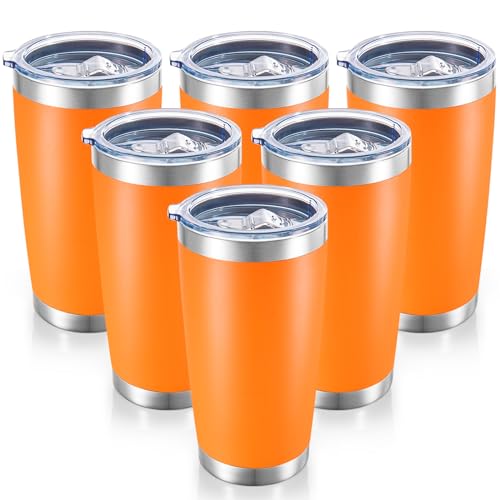 20 oz Tumblers Bulk Stainless Steel Tumbler with Lid (6 Count)