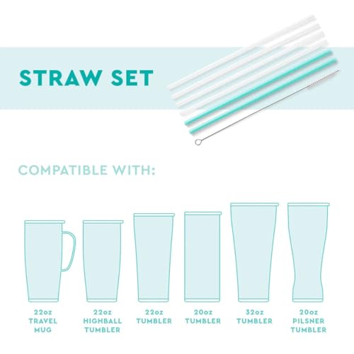 Reusable Straw Set with Cleaning Brush (6 Count)