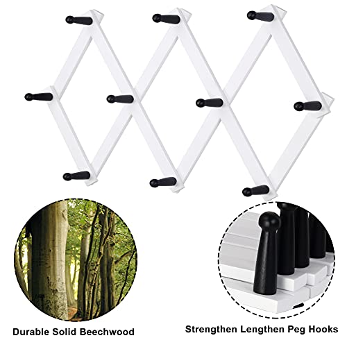 Accordian Wall Hanger