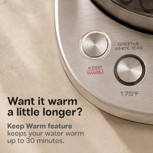 Viante Alba Electric Tea Kettle With Infuser