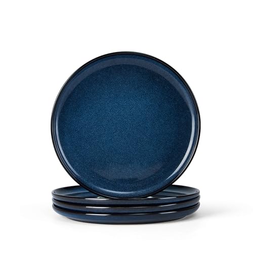 4 Piece Stoneware Small Dinner Plates Set