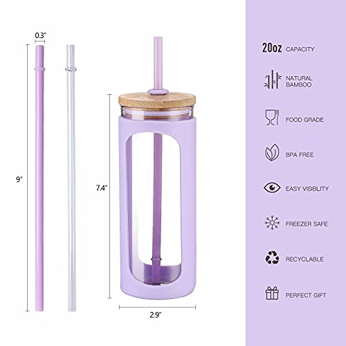 20oz Glass Water Tumbler with Straw and Lid