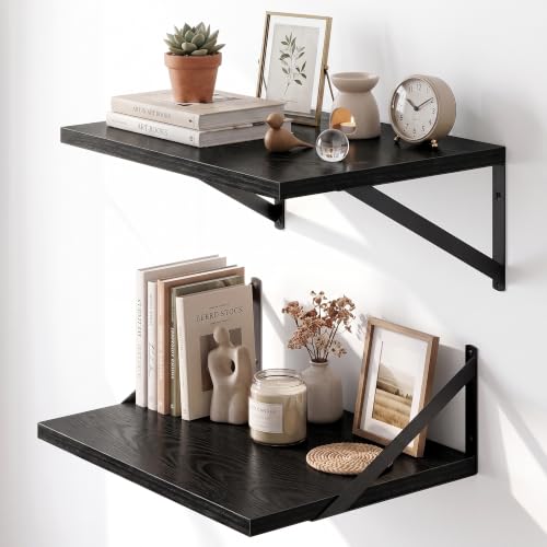 Wall Mounted Floating Shelves Set of 2 (2 Count)